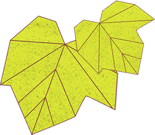 Grape Leaf